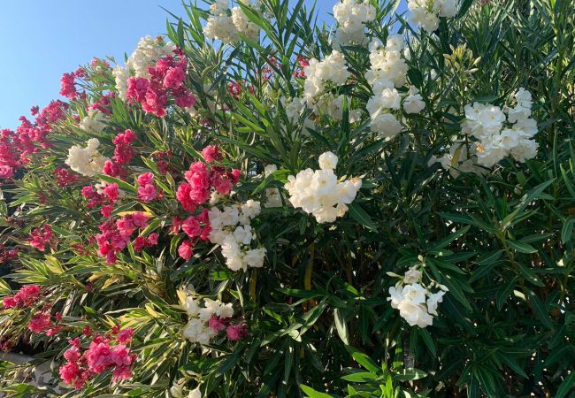 Villa in Rosas / Roses - Ref. Zar07 Villa in Rosas / Roses - Ref. Zar07