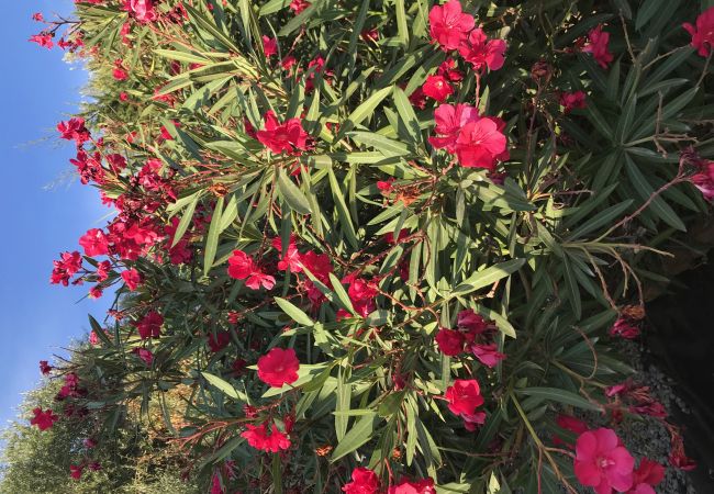 Villa in Rosas / Roses - Ref. Zar07 Villa in Rosas / Roses - Ref. Zar07