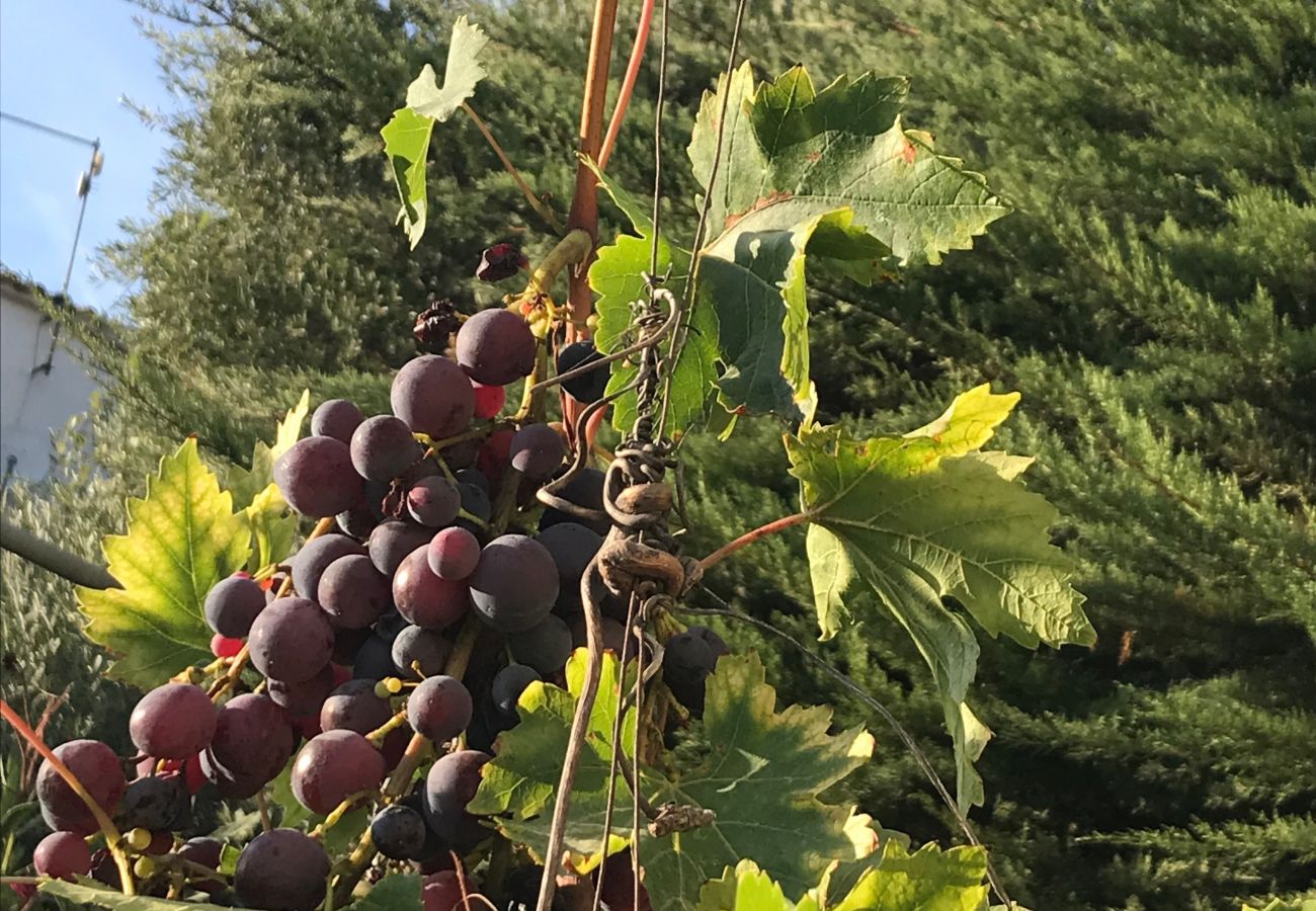 Villa in Rosas / Roses - Ref. Zar07 Villa in Rosas / Roses - Ref. Zar07