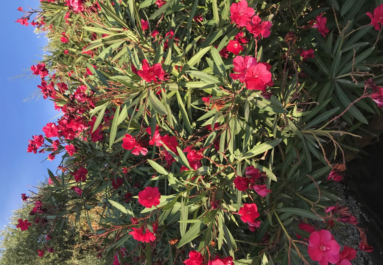 Villa in Rosas / Roses - Ref. Zar07 Villa in Rosas / Roses - Ref. Zar07